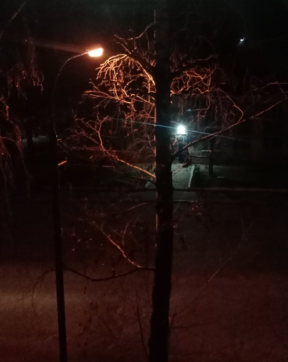 Фото для рассказа ОДИНОЧЕСТВО ПО ЗАКАЗУ... 