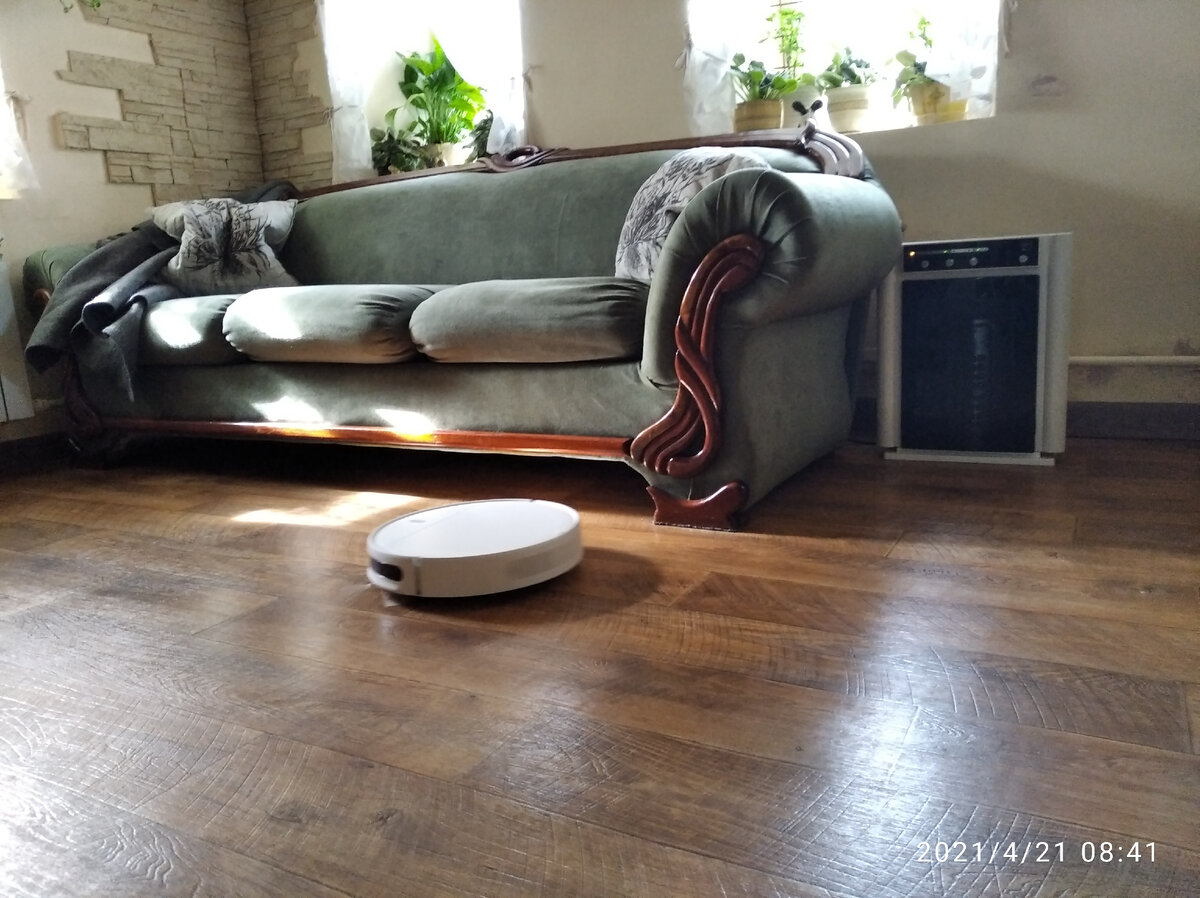 Чуки трудится, я пью кофе. Фото Загородные идеи.