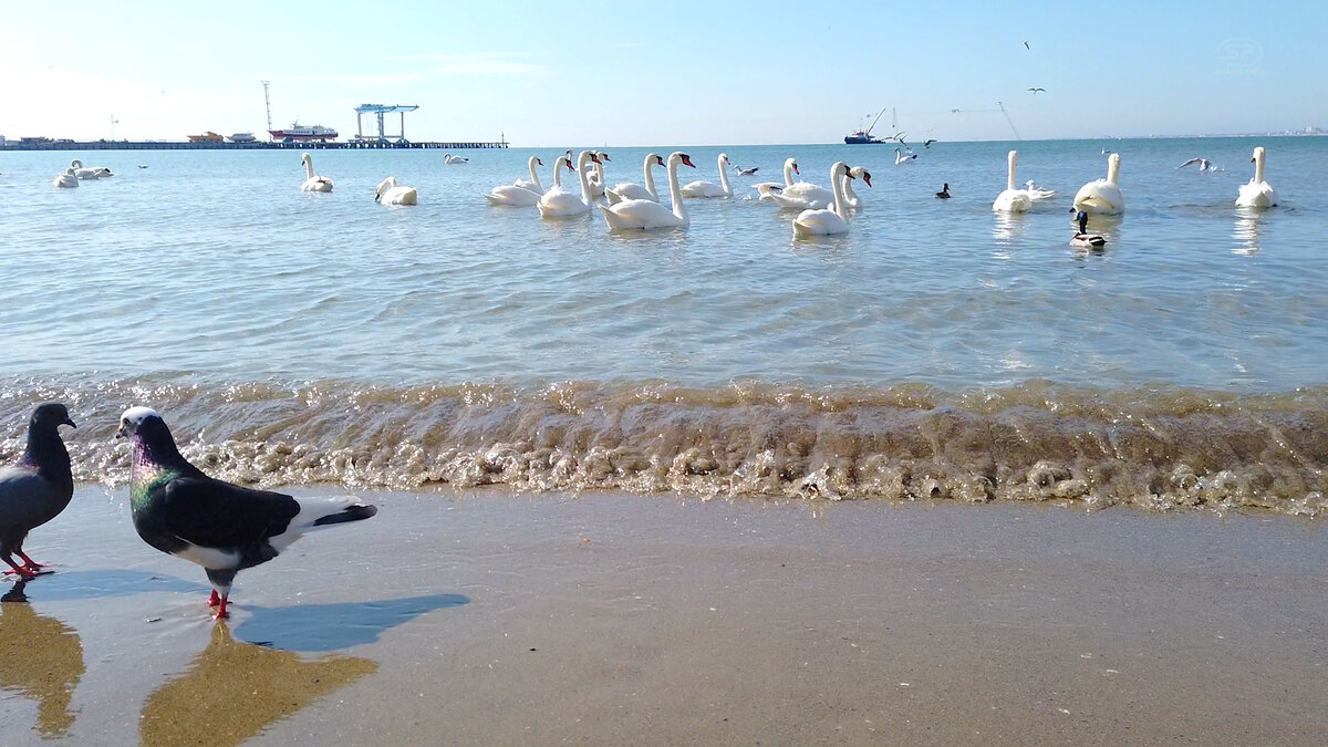 Черное море Анапы в апреле