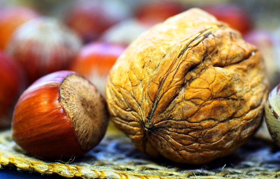 Магия орехов (источник фото: https://clck.ru/UTbu9)