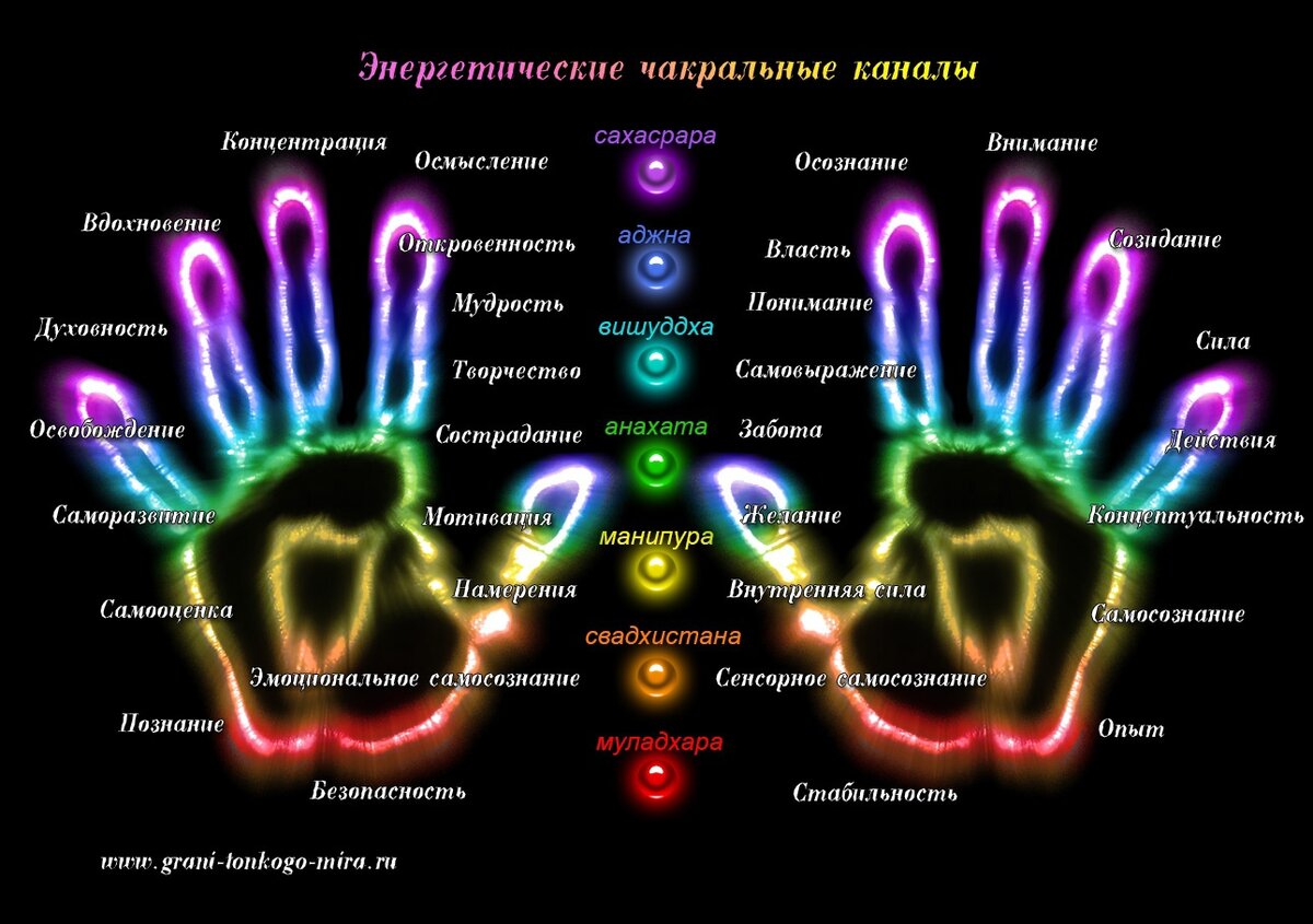 Изображение взято из открытых источников