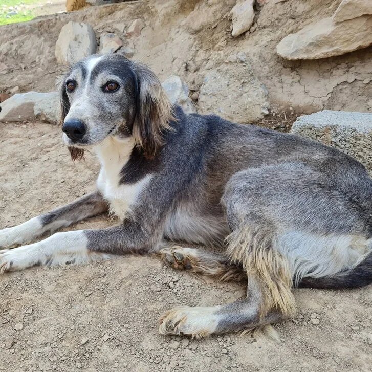 Фото Fermer.ru ©