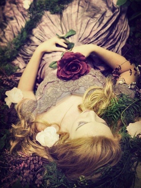 Фотография взята из сети "Интернет"