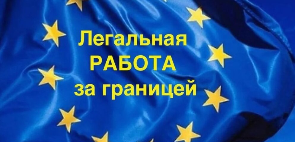 Арбайтен: отзывы о легальной работе в Европе