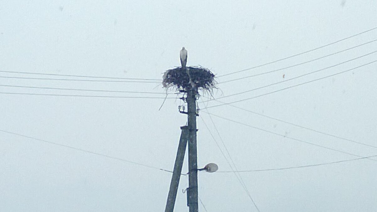 Фото с сайта vishegorod.ru