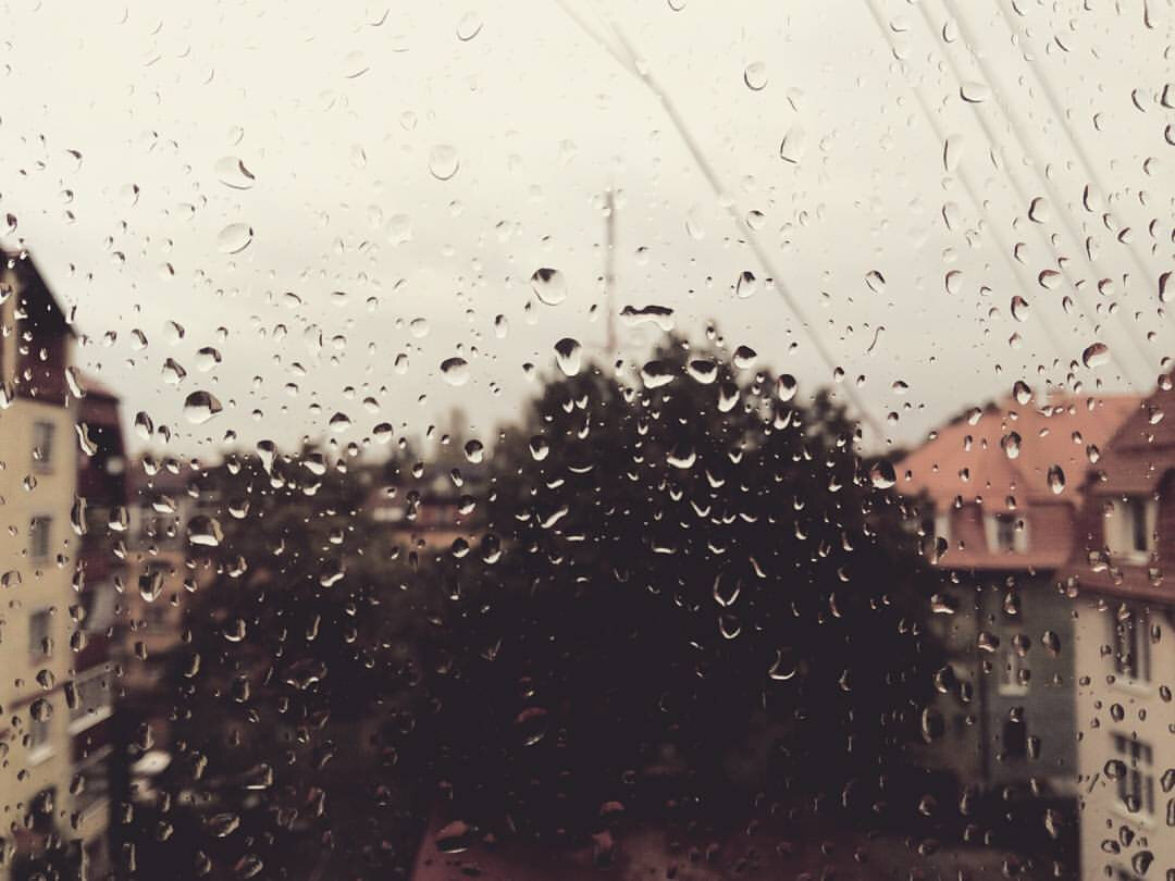 Калининград, 2016 г.