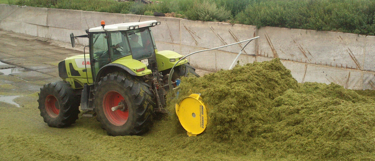 Июль 2013 год, Ленинградская область