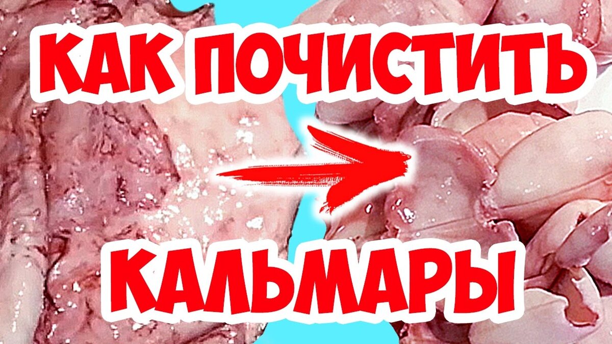 Как быстро почистить кальмаров и правильно их отварить, простой способ! |  Дина, Коллекция Рецептов | Дзен