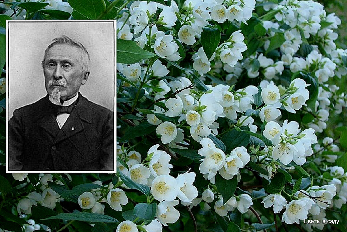 Основатель фирмы Виктор Лемуан