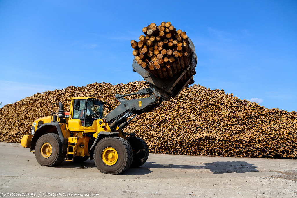 лпк архангельской области. архангельск лесопромышленный комплекс. лесопромышленный комплекс чуна. министерство природных ресурсов и лесопромышленного комплекса. лесная промышленность в архангельской.