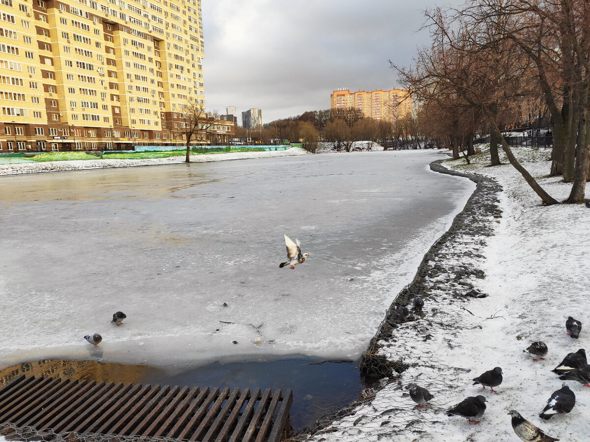 Район Коммунарка для активных людей, кому не нужны парки около дома и  спокойная жизнь. | Кристина | Дзен