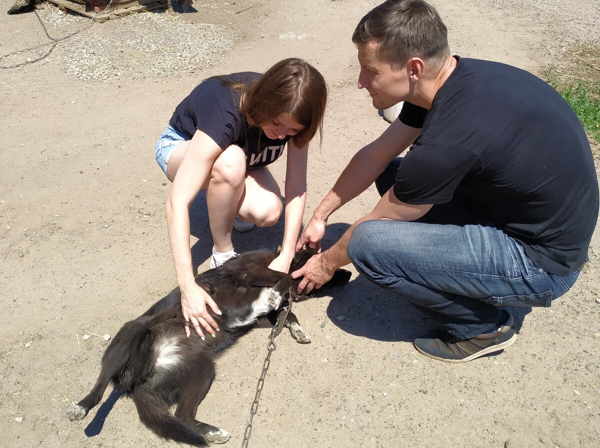 Так приятно, когда тебе погладят брюшко