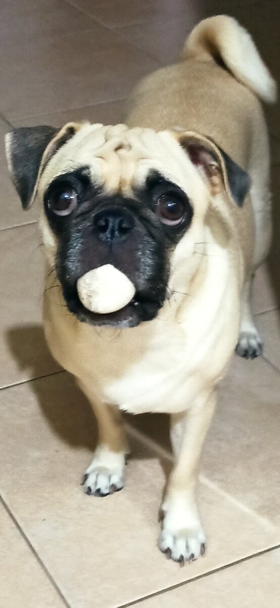 Фиона дочечка моя ❤️ 