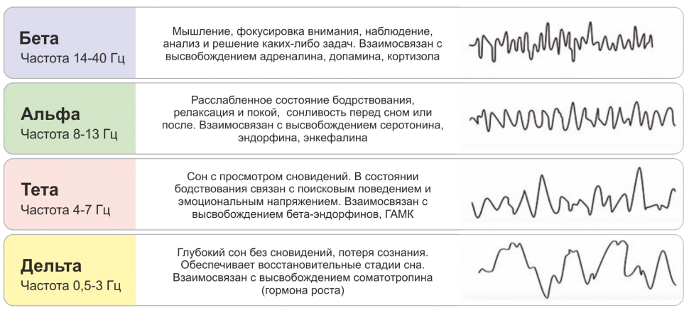 Сон регистрация. Ритмы мозга Альфа бета тета Дельта ритмы. Волны мозга Альфа бета тета. Альфа бета гамма тета волны частоты мозга. Альфа и бета ритмы на ЭЭГ.