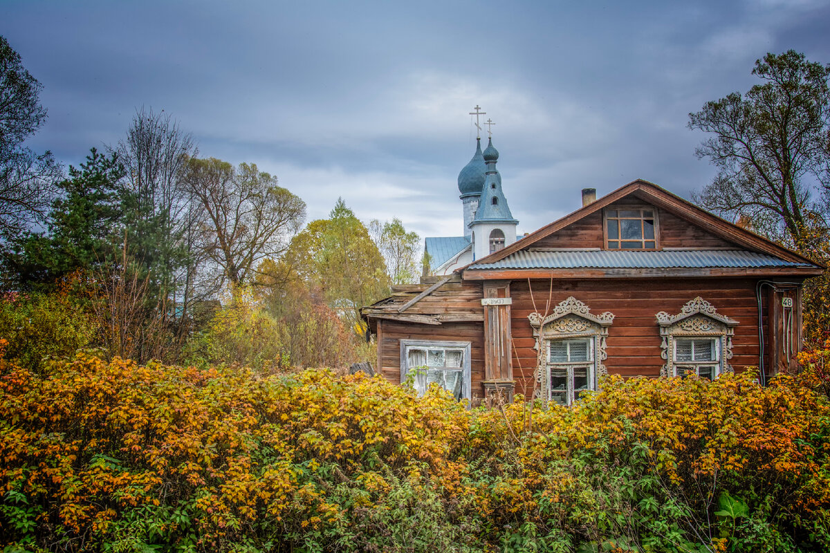 фотографии автора канала. 