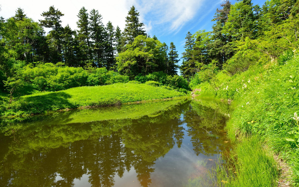 Яндекс.Картинки