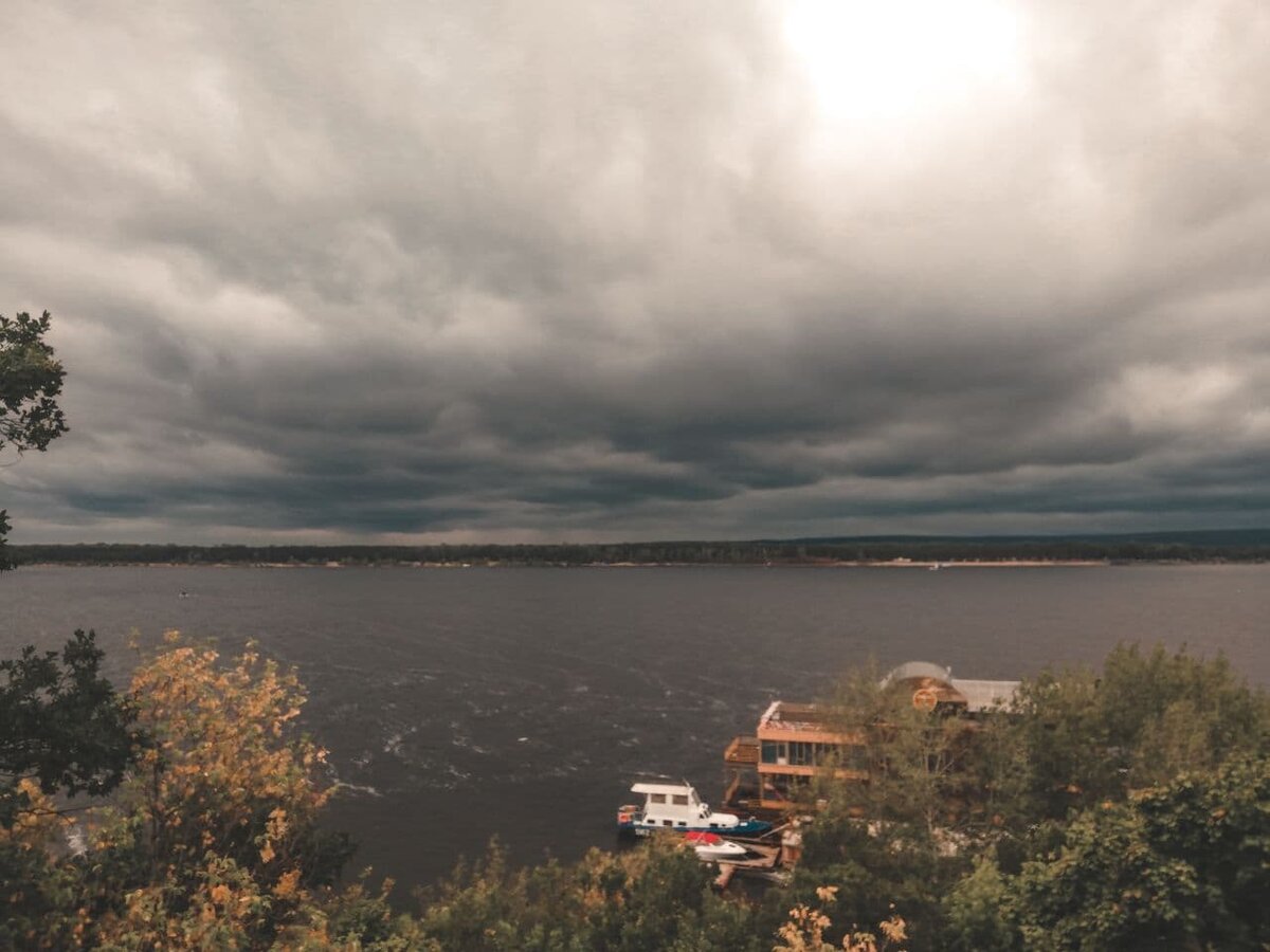 Лысая кошка застряла в сливной решётке в Новосибирске