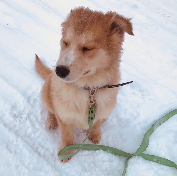 Малышка Бусинка