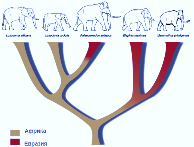 с просторов интернета