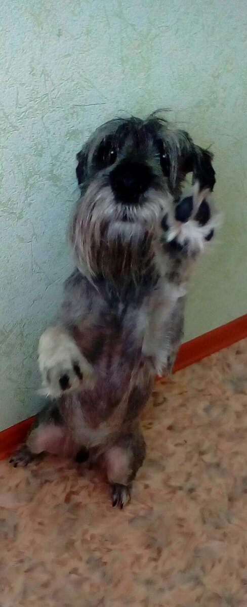 Тоша передаёт всем привет