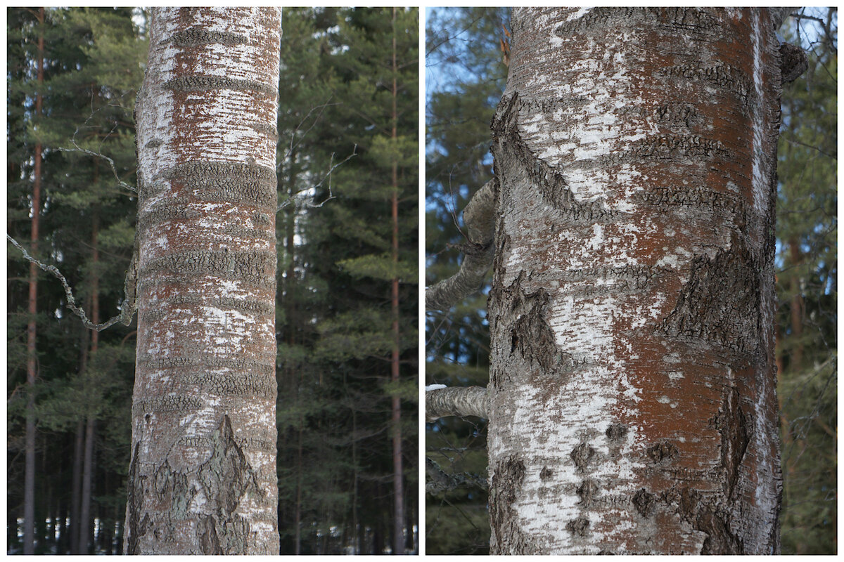 Фотографии автора. Листайте >>