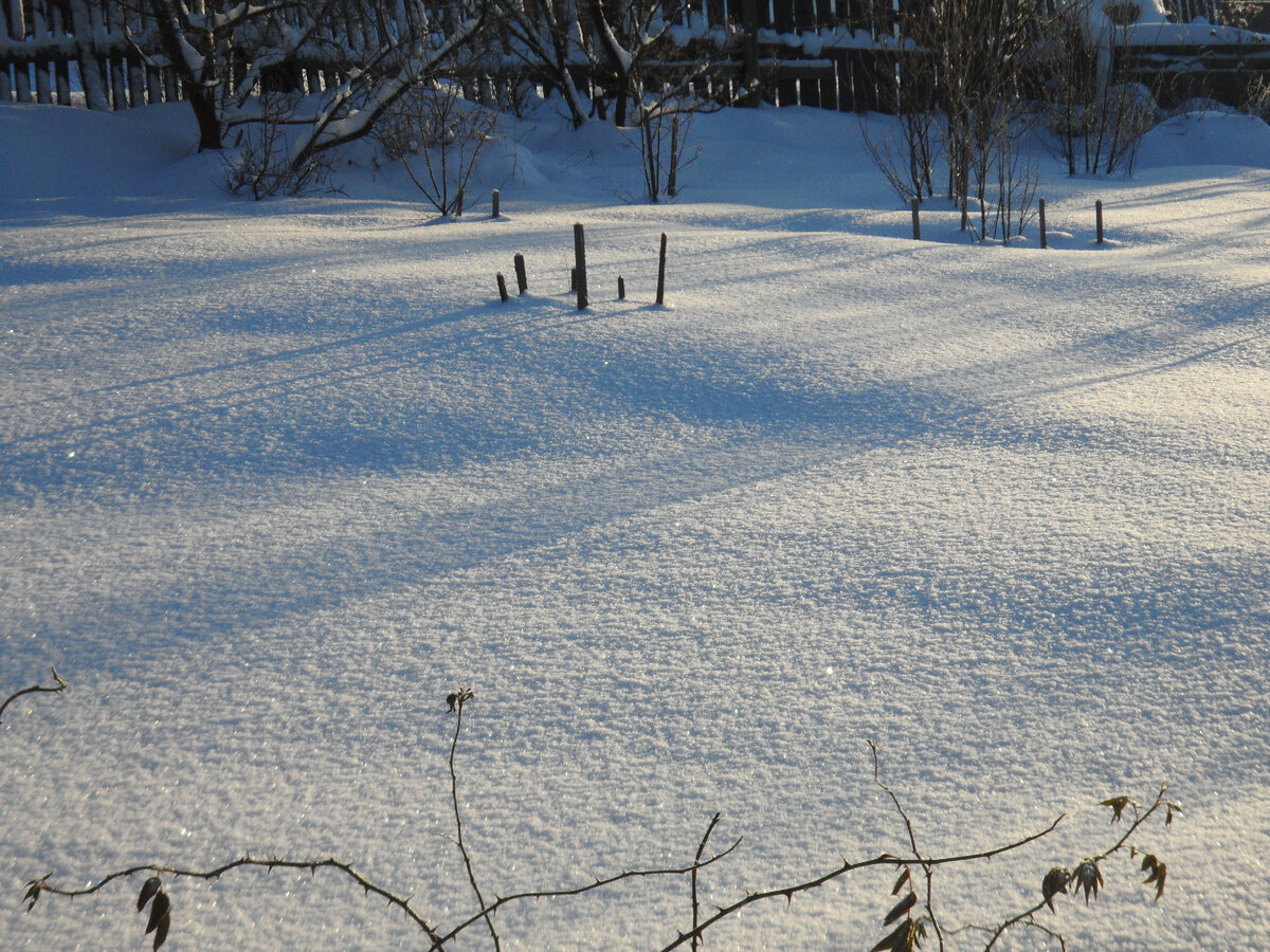 И снег может вызвать бурю эмоций