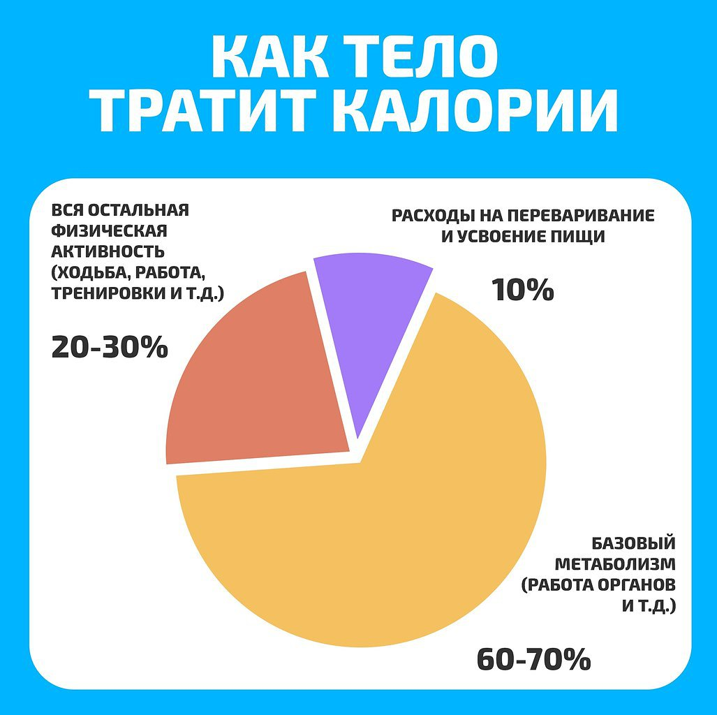 Почему есть и не толстеть могут все? Теория сет-поинта | Анна Маренкова |  Дзен