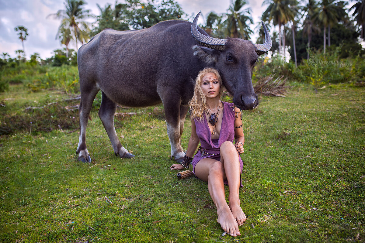 Dream studio two elfs