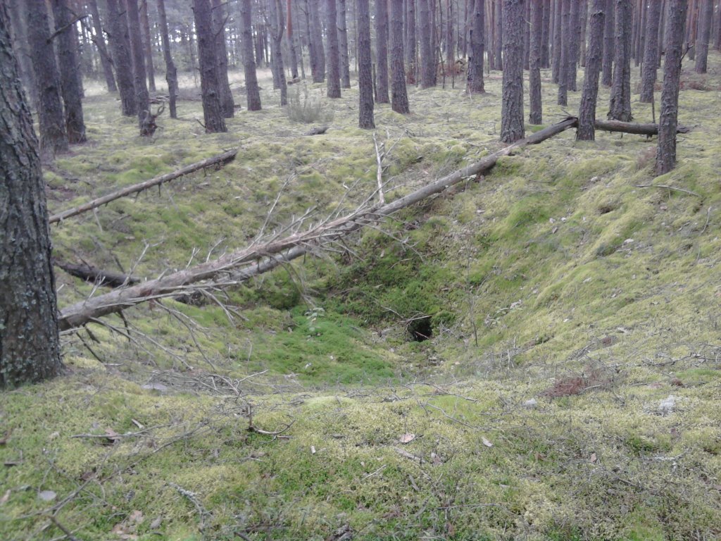 источник: https://rb7.ru/system/images/image_links/269119/26365825.jpg