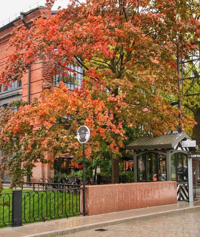 Фото с официального канала острова