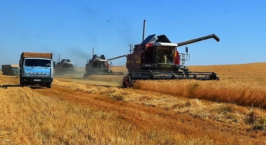 Уборка урожая