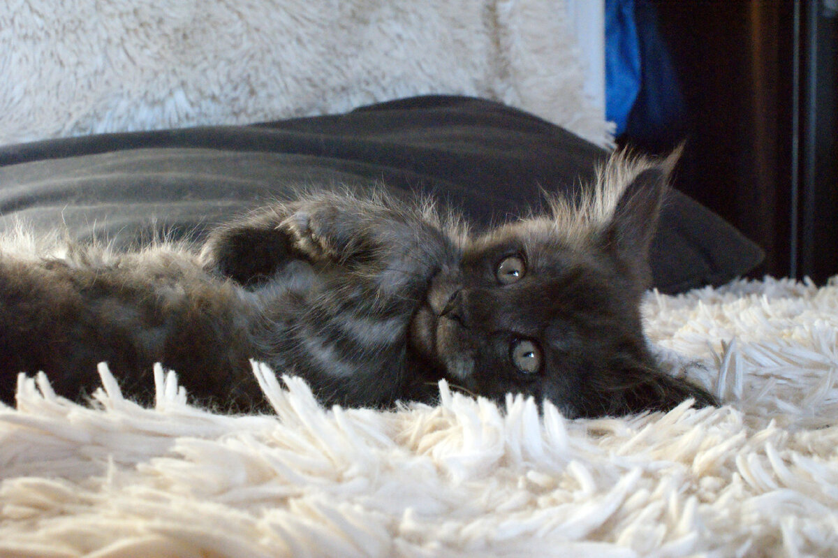 Фото из личного архива.