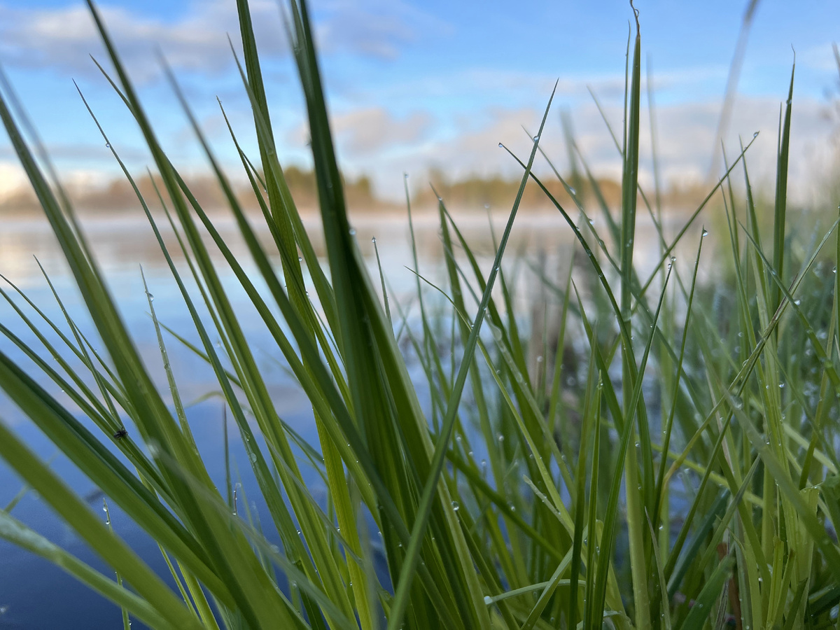 После дождя