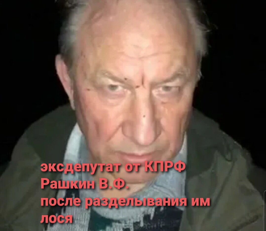 На лице браконьера следы крови, разделываемого им лося