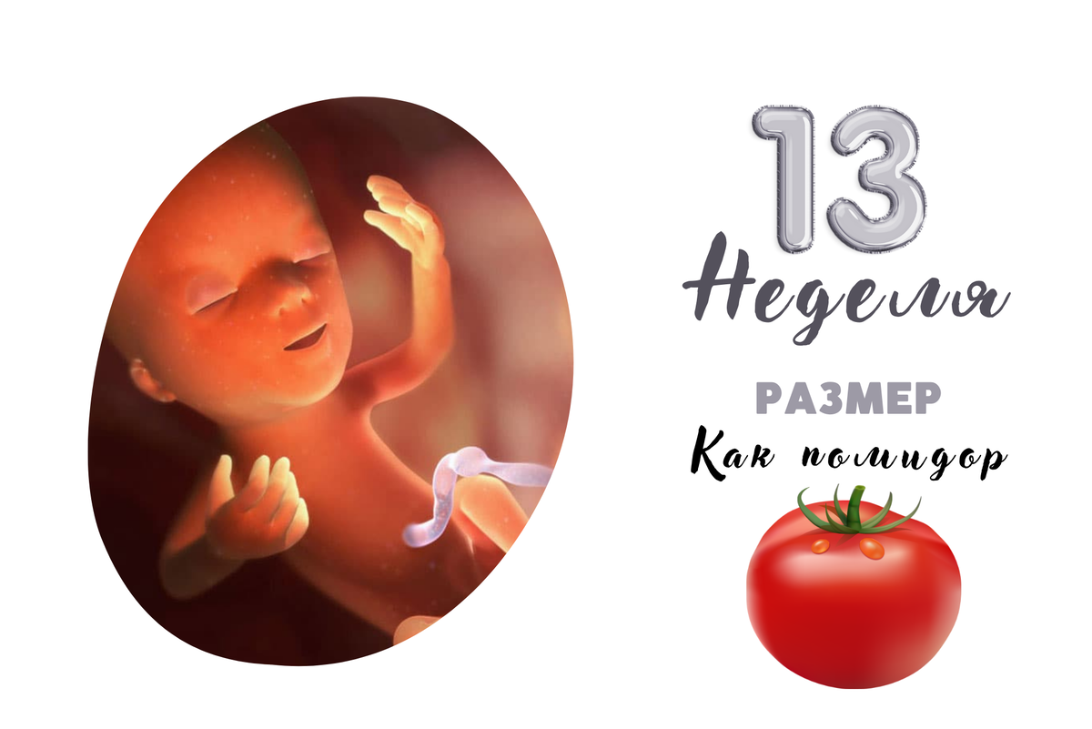 13 НЕДЕЛЯ БЕРЕМЕННОСТИ | PRO МАМА | Дзен