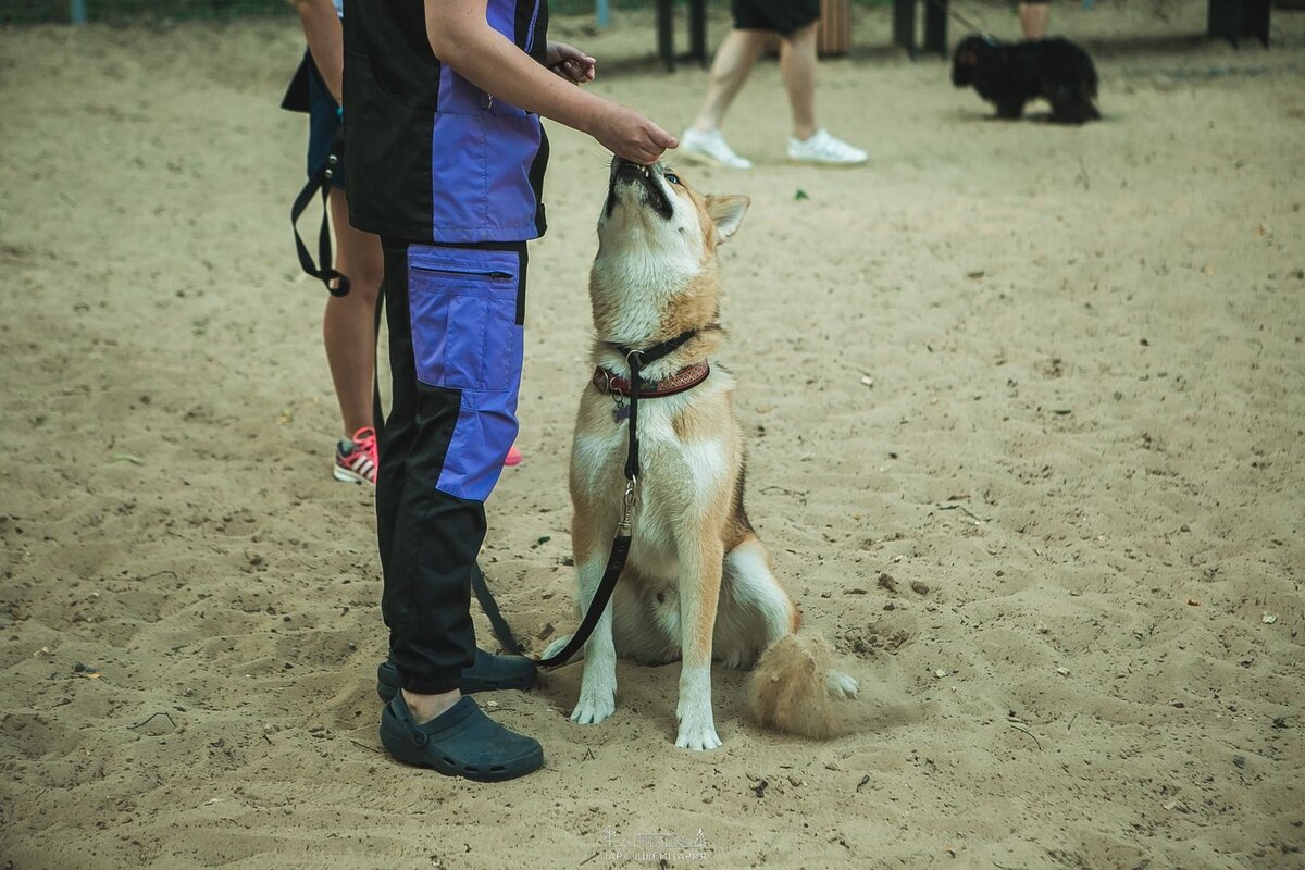 Я кстати тоже не напрягалась, мы халтурщики) 