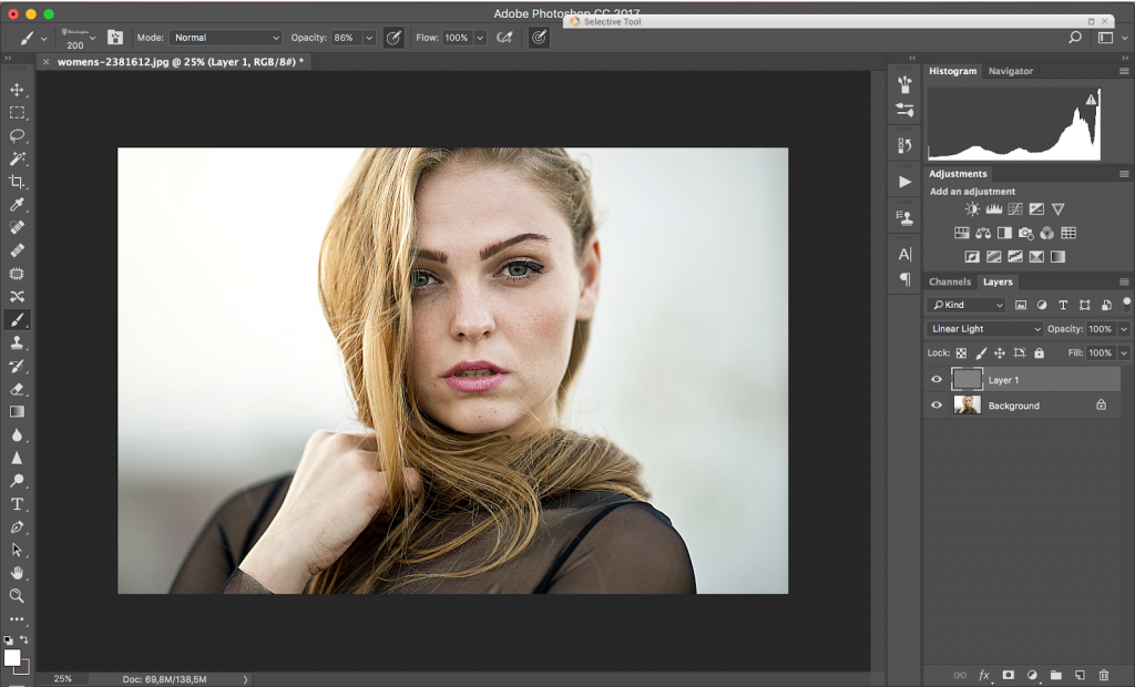 Adobe Photoshop Инструменты дизайнера 5.0