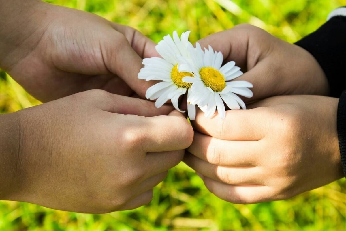 фото скачено с просторов интернета