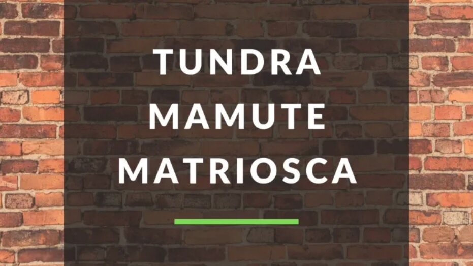 Língua Portuguesa