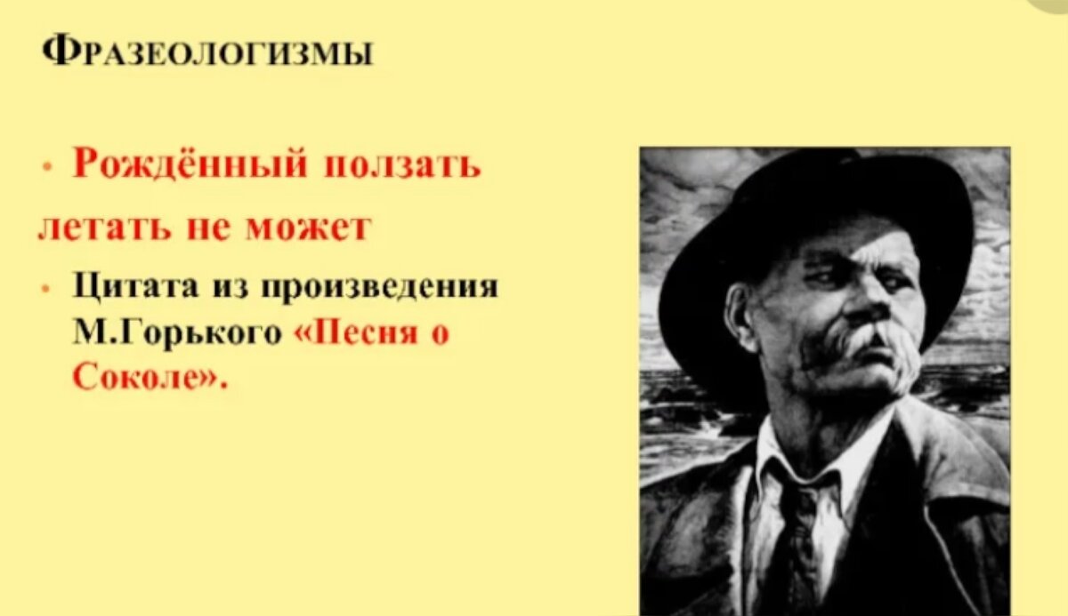 Рождённый ползать летать не может или почему минусуют за правду. | ИП на  рынке | Дзен