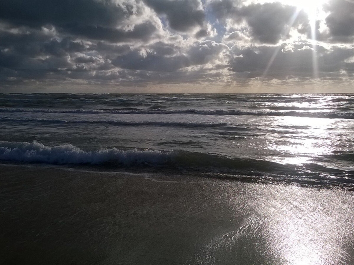 Первое фото - Ижевск 2022г. Второе и третье фото - Анапа 2016 г.