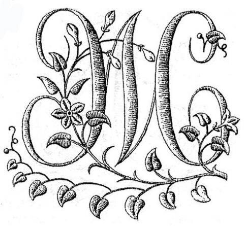 Буквы украшают узорами