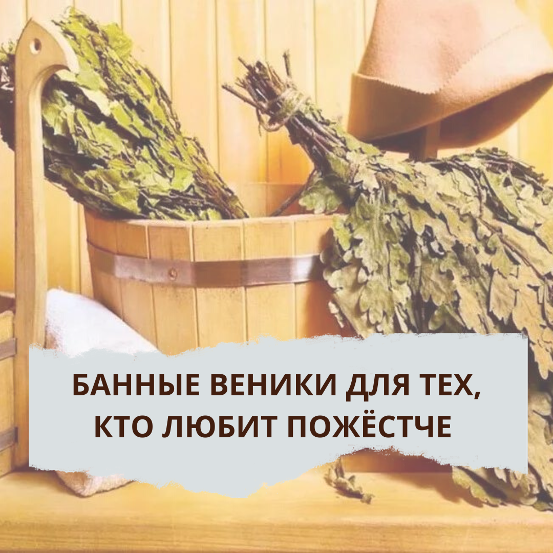 Когда делают веники для бани. Веники для бани визитка. Сауна с веником. Виды веников для бани. Красивые веники для бани