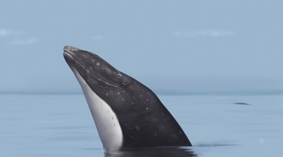 Как вы там, потомки? А, что! Нет потомков?! У дорудона есть потомки…аааа!