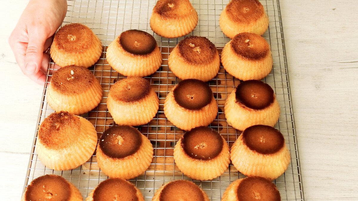 ����������� ��������🧁 �� ����� ������ � �����✨