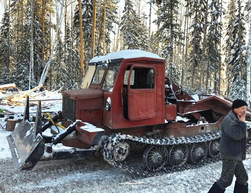 Трелевочный бесчокерный трактор ЛТ-187 на шасси МСН-10 (ТТ-4М)