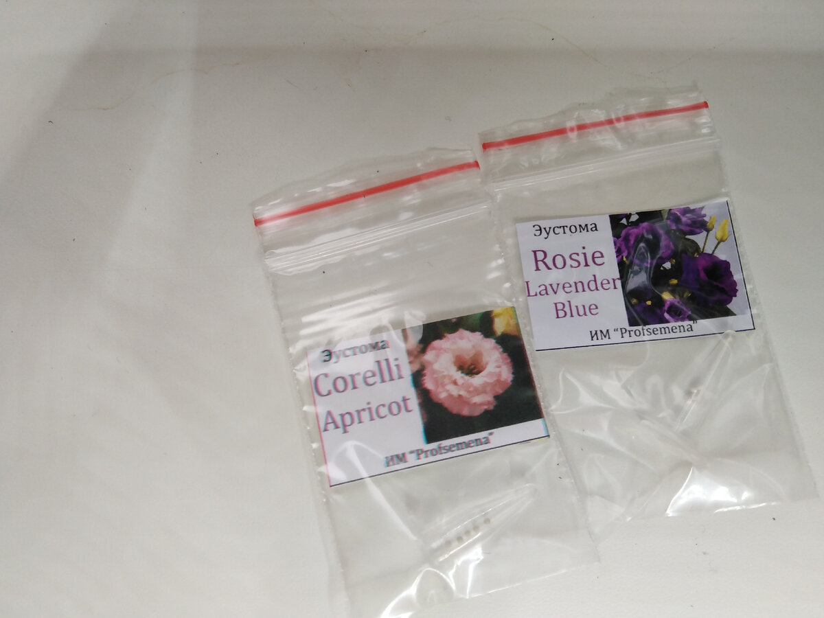 Вот, в прошлом году я поддалась массовой эустомной истерии и купила сразу 2 сорта - срезочный/высокорослый Corelli Apricot, горшечный/низкорослый Rosie Lavander Blue