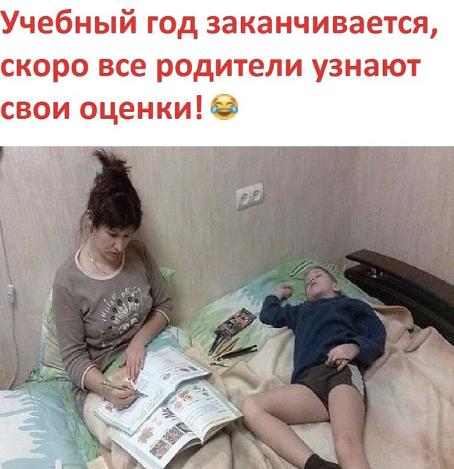 Фото из родительского чата (взято из интернета)