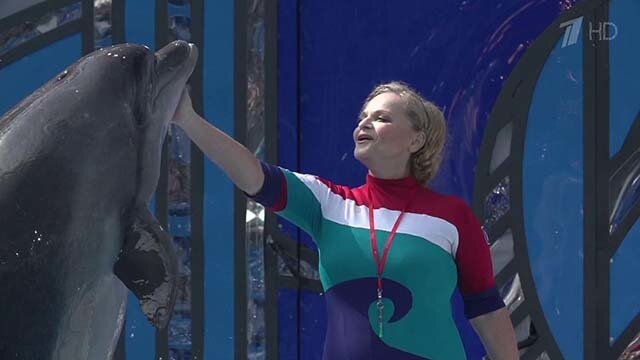                                              Фото из передачи "Вместе с дельфинами" 