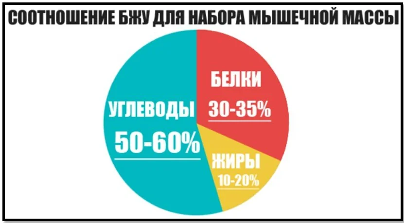 Соотношение БЖУ